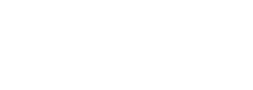 Fluxicon Disco